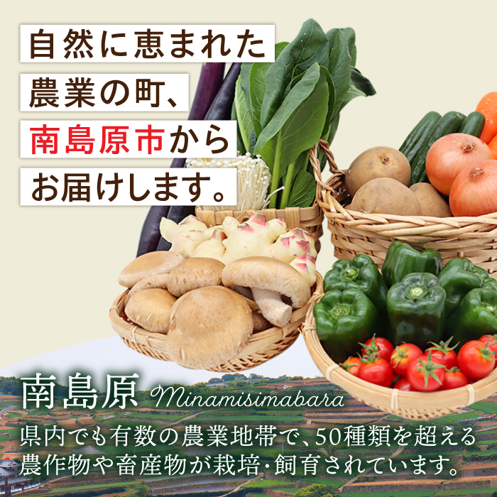 【毎月コース】野菜 キノコ 10品目以上 詰め合わせ 3回定期便 / 野菜定期便 やさい定期便 きのこ セット 定期便 / 南島原市 / 吉岡青果 [SCZ022]_イメージ3
