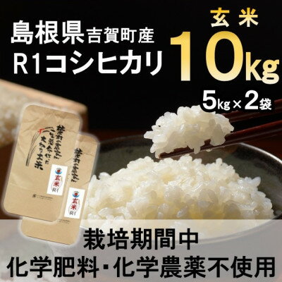 【ふるさと納税】【栽培期間中化学肥料・化学農薬不使用】令和7年産R1米コシヒカリ10kg(玄米)【1448684】