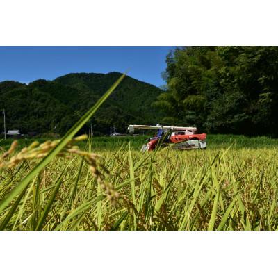 ふるさと納税 丹波篠山市 黒豆みそ ブラック・ホワイト750g各1個　コシヒカリ　白米5キロ |  | 03