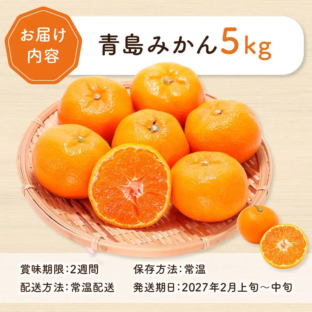 青島みかん5kg | 湯河原町 みかん 柑橘 旬 青島みかん 5kg フルーツ