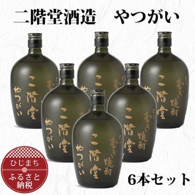 ふるさと納税 日出町 大分むぎ焼酎 二階堂 やつがい 30度 (720ml) 6本セット AG37