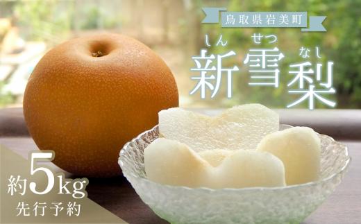 【先行予約】中野農園 梨 ”新雪梨” 5kg箱｜鳥取 岩美 梨 なし ナシ  赤梨 果物 フルーツ【41023】
