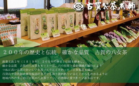 古賀製茶本舗　八女茶の一番茶だけで作った　水出し煎茶ティーバッグ　たっぷり５ｇ×７５個入　072-118