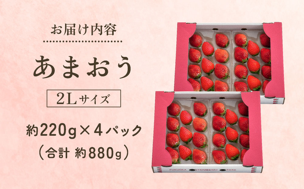 【2027年3月～4月発送】うるう農園のあまおう(2Lサイズ)約220g×4P(約880g)
