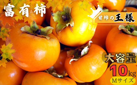 【先行予約】【JAわかやま】Mサイズ 富有柿 10kg【2025年11月中旬～12月上旬に順次発送致します。】 【jan003】