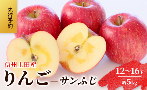 りんご 信州上田産 サンふじ 家庭用 約5kg  リンゴ 林檎 5kg サンフジ 果物 くだもの フルーツ デザート 旬の果物 旬のフルーツ 傷 長野県 長野 上田市