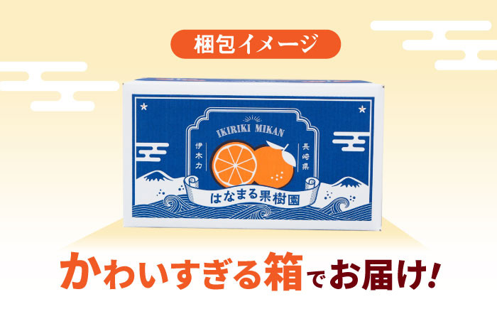 伊木力みかん 大玉 10kg みかん ミカン 蜜柑 柑橘 フルーツ 果物