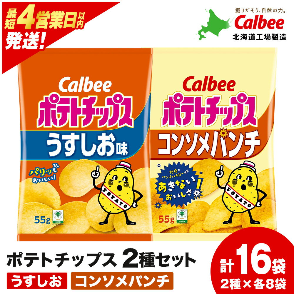 【ふるさと納税】カルビーポテトチップス 2種セット うすしお・コンソメパンチ 各8袋 《北海道工場製造》 スナック お菓子 北海道 千歳 ポテチ ポテトチップス 北海道ふるさと納税 千歳市 ふるさと納税【北海道千歳市】 ギフト ふるさと納税