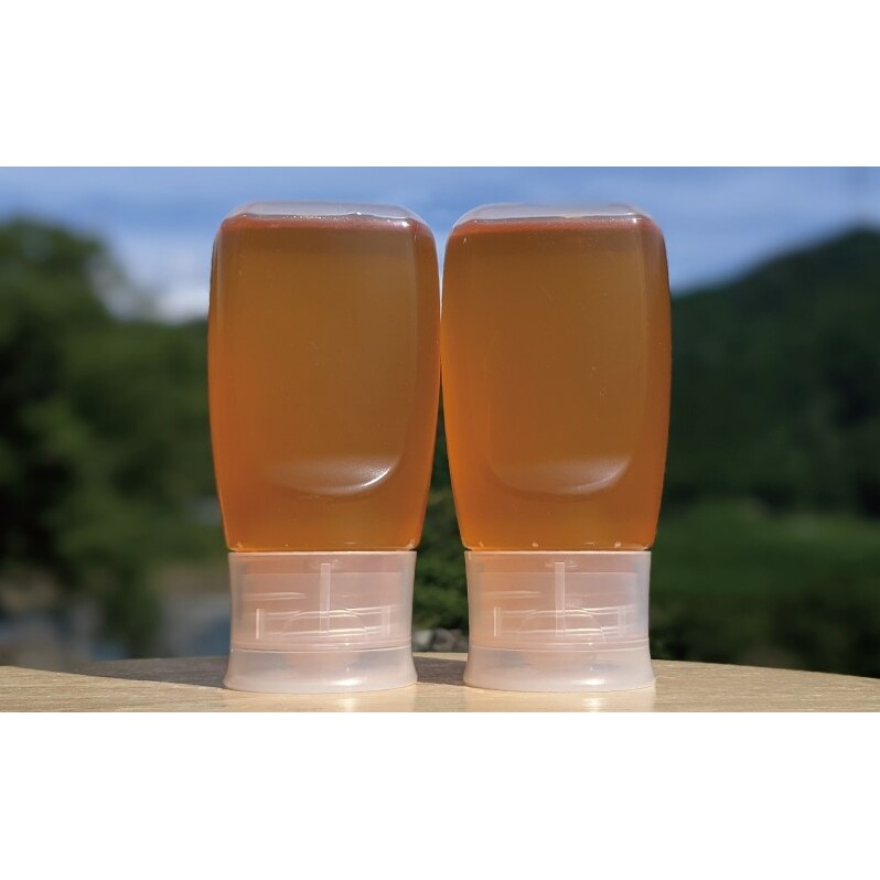 合計600g 天然蜂蜜 国産蜂蜜 非加熱 生はちみつ 岐阜県 美濃市産 春 (蜂蜜300g入りピタッとボトル2本セット)A10