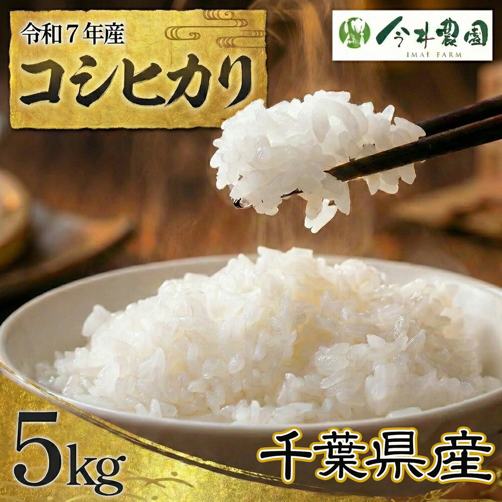 【ふるさと納税】 【令和7年産】千葉県産コシヒカリ（精米）5kg ／ 米 こめ ご飯 こしひかり 甘み 粘り 香り 冷めても美味しいお米 送料無料 千葉県