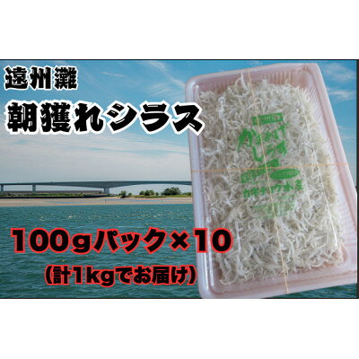 【ふるさと納税】遠州灘・福田漁港で水揚げの朝獲れシラス～鮮度そのままに釜揚げ～ 100gパック×10個【配送不可地域：離島】【2001137】