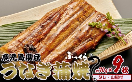 鹿児島県産　うなぎ蒲焼　約70g×9枚【タレ・山椒付】 鹿児島県 奄美群島 奄美大島 龍郷町 国産 うなぎ ウナギ 鰻 かば焼き 蒲焼 うな丼 タレ付 魚介 贅沢 ご褒 真空パック 小分け お取り寄せ プレゼント ギフト