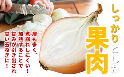 北海道名寄産 玉ねぎ 10kg 秀品 Mサイズ《2026年10月上旬-12月上旬出荷予定》北海道 名寄市 野菜 玉ねぎ 旬 カレー グラタン オニオンリング