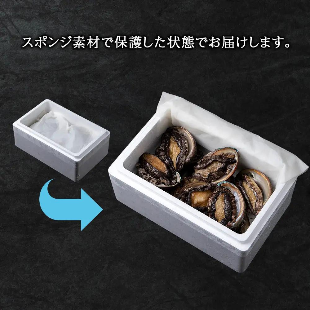 【2026年発送予約】北海道 利尻島産 直送！利尻あわび 天然 生えぞあわび１kg 鮑 海鮮 冷蔵 お刺身 魚介 お祝い 鮑 活き 天然【福士水産】