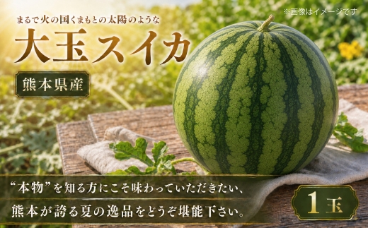 『 まるで火の国くまもとの太陽のような大玉スイカ 』 1玉 ( 熊本県産 ) 果物 フルーツ 果実 果汁 果肉 国産 季節の果物 旬の果物 【 2027年4月下旬～6月下旬迄発送予定 】