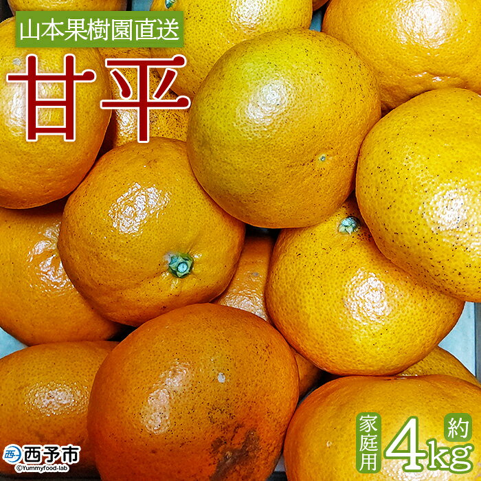 【ふるさと納税】【先行予約】＜甘平 約4kg 家庭用＞ 果物 くだもの オレンジ フルーツ かんぺい カンペイ 柑橘 みかん ミカン 蜜柑 季節限定 期間限定 特産品 産地直送 山本果樹園 西宇和 三瓶産 愛媛県 西予市【常温】『2027年1月下旬～3月上旬迄に順次出荷予定』