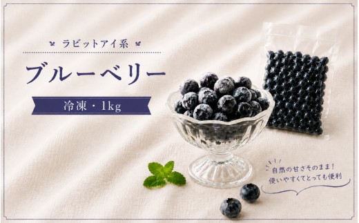 冷凍ブルーベリー 通常品 1kg ｜ ブルーベリー ラビットアイ ラビットアイ系 国産 果物 くだもの フルーツ 冷凍フルーツ スムージー ジャム お菓子作り 製菓 ヨーグルト トッピング 家庭用 お徳用 1kg 1000g 山口 美祢市 美祢