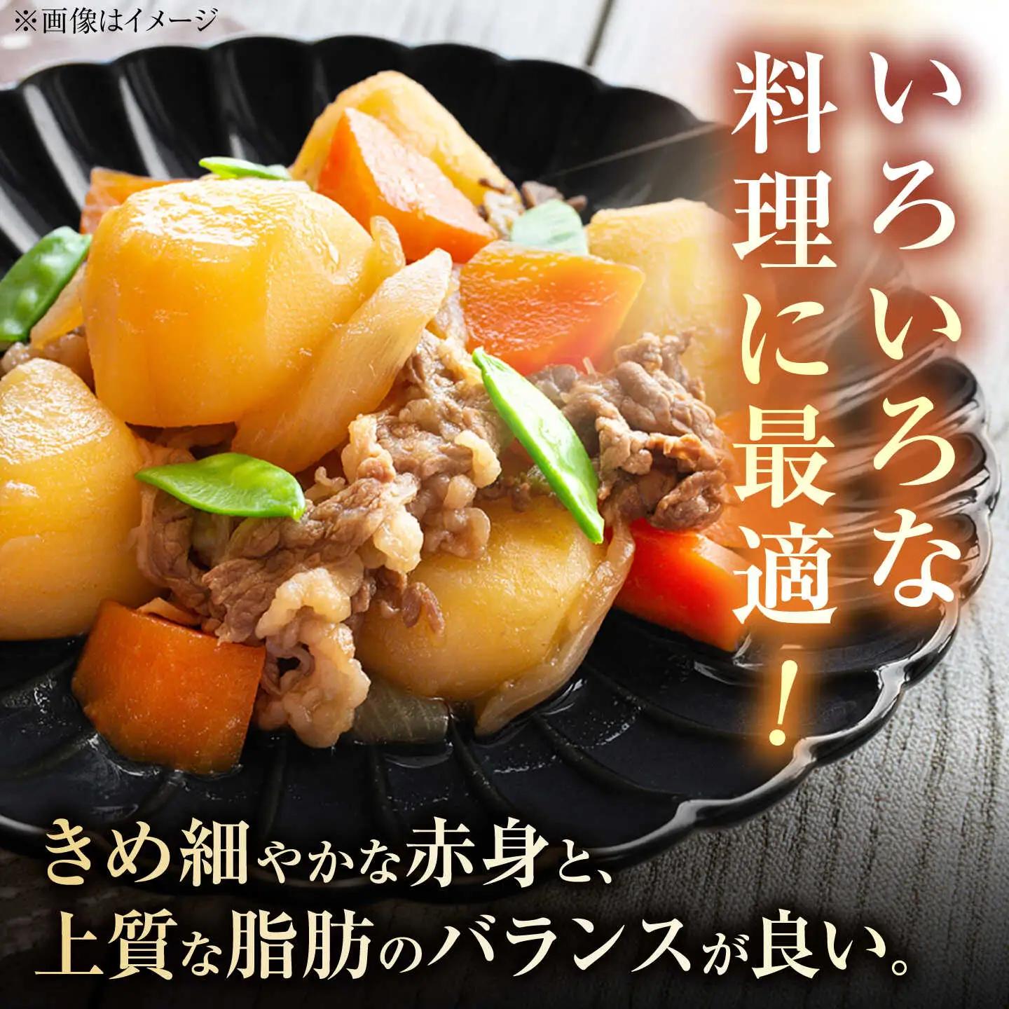 佐賀牛 牛肉切り落とし 460g 牛 [UCC010]