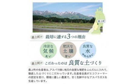 JA【令和6年産予約】最上町特産グリーンアスパラ2kg
