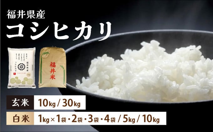 
            福井県産 コシヒカリ 【選べる 精米 または 玄米 】 1〜4kg / 5kg / 10kg / 30kg 【米 コメ お米 精米 白米 玄米 ご飯 飯 こしひかり ブランド米 国産 お中元 お歳暮 ギフト】[095-a001/095-a002/095-a004] 
          