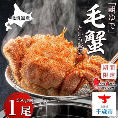 ふるさと納税 千歳市 北海道産【朝ゆで】毛ガニ(550g前後)1尾 期間限定!≪かにのマルマサ≫