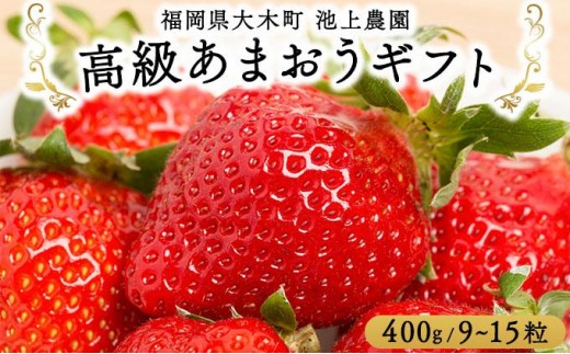 
            高級あまおうギフト (9～15粒) 400g BD015
          
