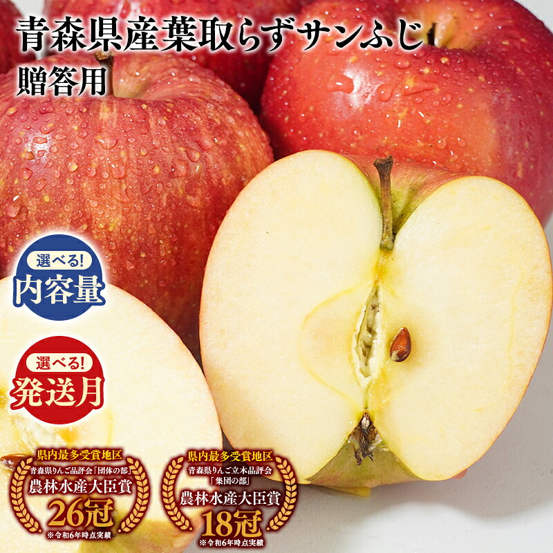 【ふるさと納税】≪内容量と発送月が選べる!≫ 青森県産 贈答用 葉とらずサンふじ 3kg 5kg 10kg【青森県 平川市 そと川りんご園】11月〜4月発送 贈答 青森 青森県産 平川 葉とらず サンふじ ふじ りんご リンゴ 林檎 くだもの 果物 フルーツ