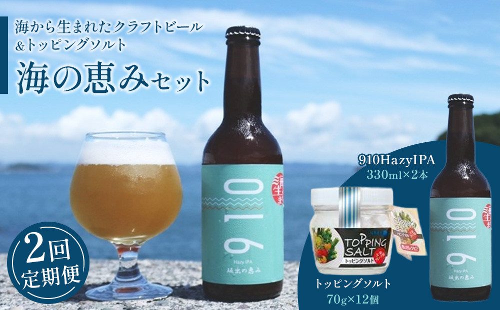 【全2回発送】日本海水　海の恵みセット（【1回目】はクラフト発泡酒「９１０」330 ml × 2本 【2回目】はトッピングソルト70g × 12個　をお届け）
