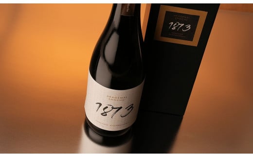 赤毛米焼酎 1873 500ml 計1本 焼酎 お酒 酒 アルコール