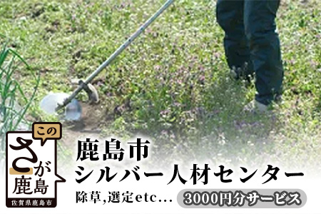  鹿島市シルバー人材センター 3,000円分サービス B-510