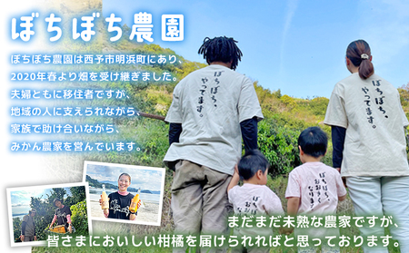 ＜ぼちぼち農園の温州みかん 家庭用 5kg＞ 5キロ うんしゅうみかん 温州ミカン 訳あり わけあり ワケアリ 果物 みかん ミカン 柑橘 フルーツ 国産 特産品 ぼちぼち農園 愛媛県 西予市【常温】