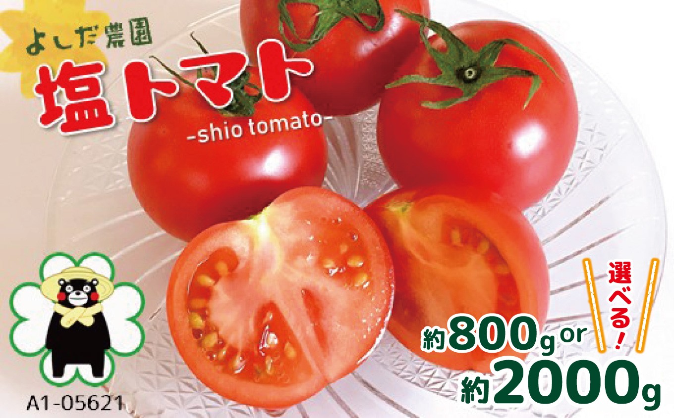 
                  『 よしだ農園 』 塩トマト 約800g / 約2,000g｜ 野菜 やさい 塩トマト トマト とまと トマトベリー 人気 熊本県 玉名市
                