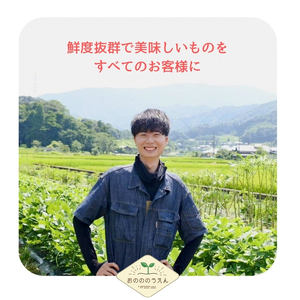 【2026年発送分予約】京都府産　新生姜 4kg 栽培期間中 農薬 化学肥料 除草剤不使用 生姜 しょうが 酢漬け 薬味 野菜 紅茶 ガリ チューハイ 健康 国産 おつまみ myz11 myz20