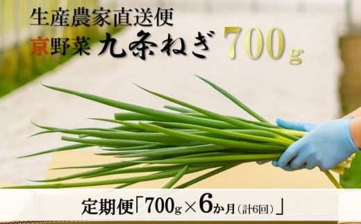 【6か月定期便】生産農家直送　京野菜・九条ねぎ  700g×6回〈定期便 ねぎ ネギ 葱 九条ねぎ 京野菜 京都 新鮮 甘い 農家直送 野菜〉 S0802 ×6