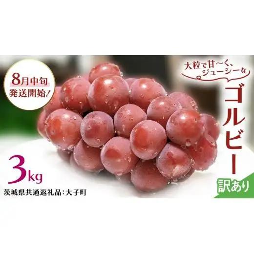 【 訳あり 】 ゴルビー 3kg 【2026年8月中旬発送開始】(茨城県共通返礼品：大子町)