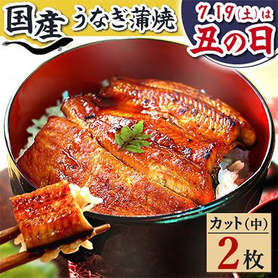 浜名湖・うなぎのたなかのふっくら柔らか♪国産うなぎカット蒲焼(中)2枚※合計180g程度【配送不可地域：離島】【1417599】