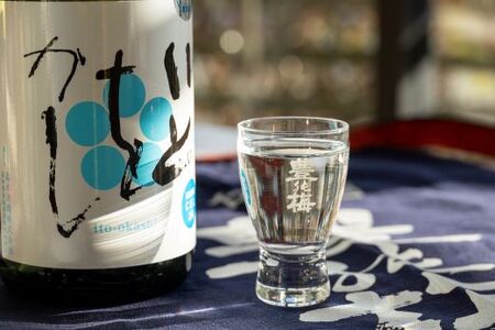 【６回定期便】純米吟醸いとをかし 720ml×2本 - お酒 さけ 酒 日本酒 米 飲み物 飲料 アルコール 晩酌 フルーティー 特産品 ギフト 贈り物 贈答用 プレゼント お酒好き 記念日 お礼 御