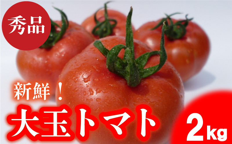 
            トマト 大玉  2kg 秀品 選べる サイズ 野菜 産地直送  赤土 高糖度 リコピン ビタミンC 美容  栄養 甘い おいしい 予約受付 お弁当 夕飯 サラダ おかず 先行受付 下関 山口 【2025年4月からの発送】【 期間限定 】
          