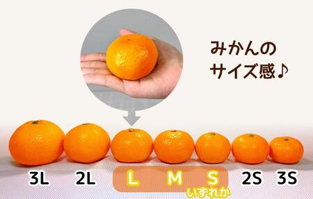 熟成 みかん 箱込2.5kg ( 内容量 2.3kg ) SMLサイズのいずれか 秀品 優品 混合 和歌山県産 産地直送 贈答用 【みかんの会】