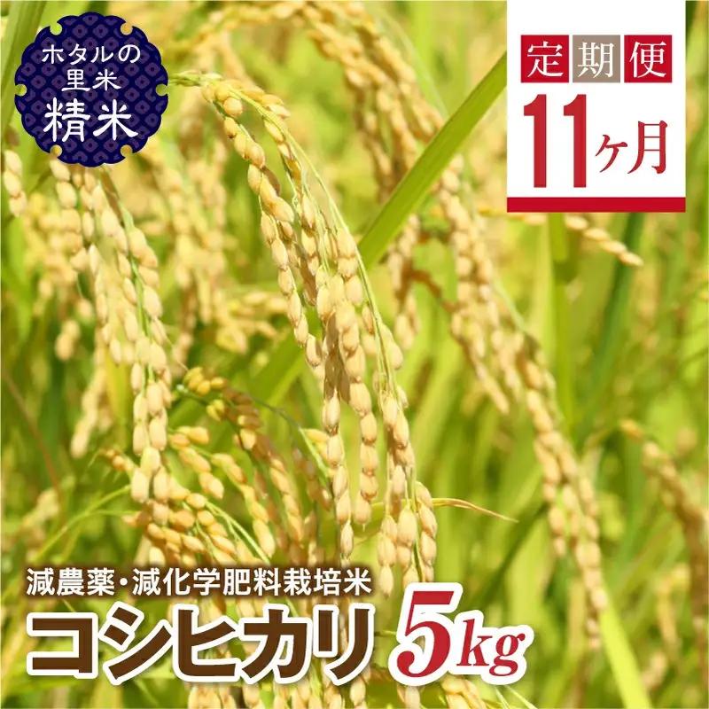  ＜定期便11ヶ月＞【ホタルの里米】環境に配慮し農薬を減らした栽培米 コシヒカリ精米5kg  F4D-2277