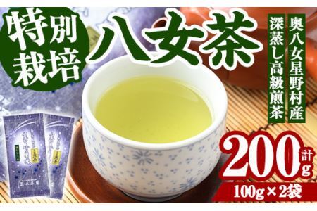 奥八女星野村 深蒸し高級煎茶(計200g・100g×2袋) 八女茶 緑茶 せん茶 おちゃ お茶 やめ 深蒸し茶  常温 常温保存【ksg1345】【おどろきっちん】