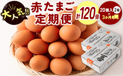 
＜児湯養鶏自慢の卵＞ネッカリッチ赤たまご「児湯一番」 計120個 （20個入×2箱）×3か月定期便【C55】
