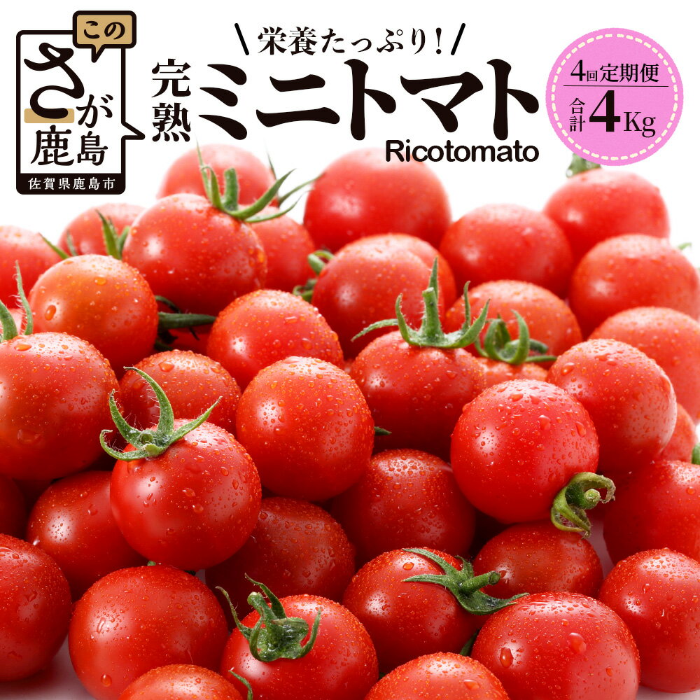 【ふるさと納税】【先行予約】【4回定期便】【2026年1月より発送開始】完熟 ミニトマト Ricotomato 1kg 月1回 年4回 合計4kg 野菜 とまと トマト 佐賀産 佐賀県 鹿島市 送料無料 F-32
