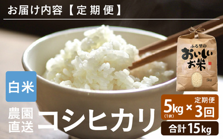 【令和7年産】【農家直送定期便 3ヶ月コース】本原農園のまごころコメたコシヒカリ 5kg × 3回 計15kg（白米） [D-8911]