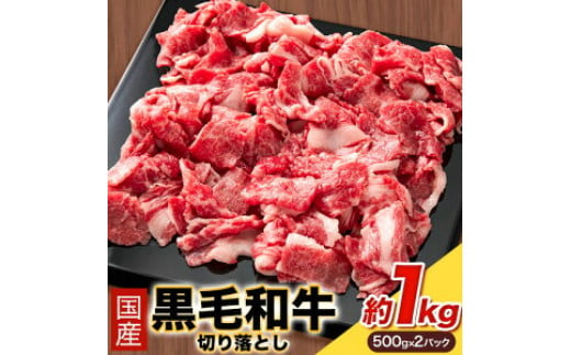 
国産黒毛和牛切り落とし 約1kg(500g×2) 株式会社WiN《30日以内に出荷予定(土日祝除く)》大阪府 羽曳野市 送料無料 黒毛和牛 和牛 牛肉 牛 国産 切り落とし
