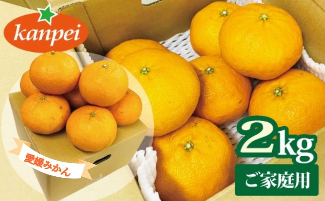 
            訳あり 甘平 家庭用 みかん 愛媛 約2kg 人気 サイズミックス 柑橘 伊予市｜B234
          