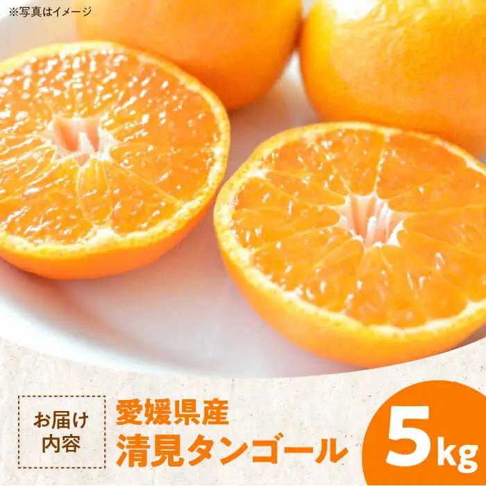 清見タンゴール 5kg 清見【3月下旬から順次発送】[AGAW005]