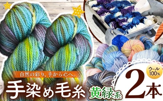 ウール100％ 手染め毛糸（太） 2本 黄緑系 ｜  毛糸 ウール ウール100％ 手染め 裁縫 手芸 長野県 松川村 信州
