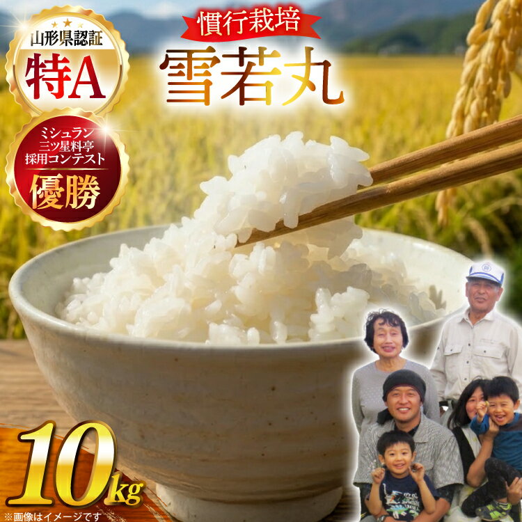 【ふるさと納税】 【期間限定発送】 米 令和7年産 慣行栽培 雪若丸 10kg [金子農園 山形県 高畠町 tk06ays950060] 精米 白米 お米 ブランド米 ゆきわかまる ごはん ご飯