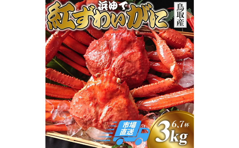 鳥取から直送！ 釜茹で 紅ズワイガニ3kg(6～7杯) 未冷凍【ボイル】 312011_FR003